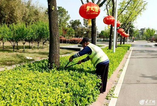 臨沭縣 以精細(xì)化綠化管理為抓手，全面提升城市治理水平